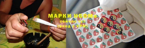 apvp Рославль