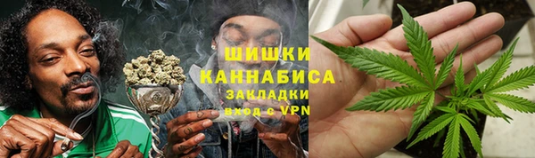 apvp Рославль