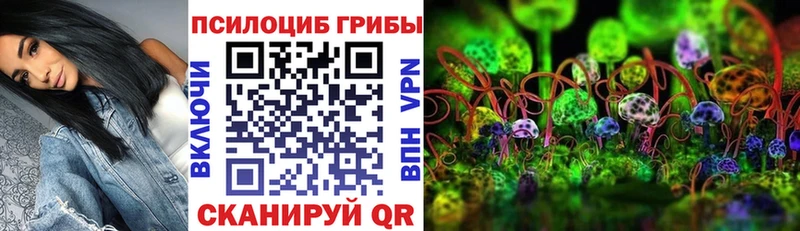 кракен онион  купить наркотик  Дыгулыбгей  Псилоцибиновые грибы мицелий 